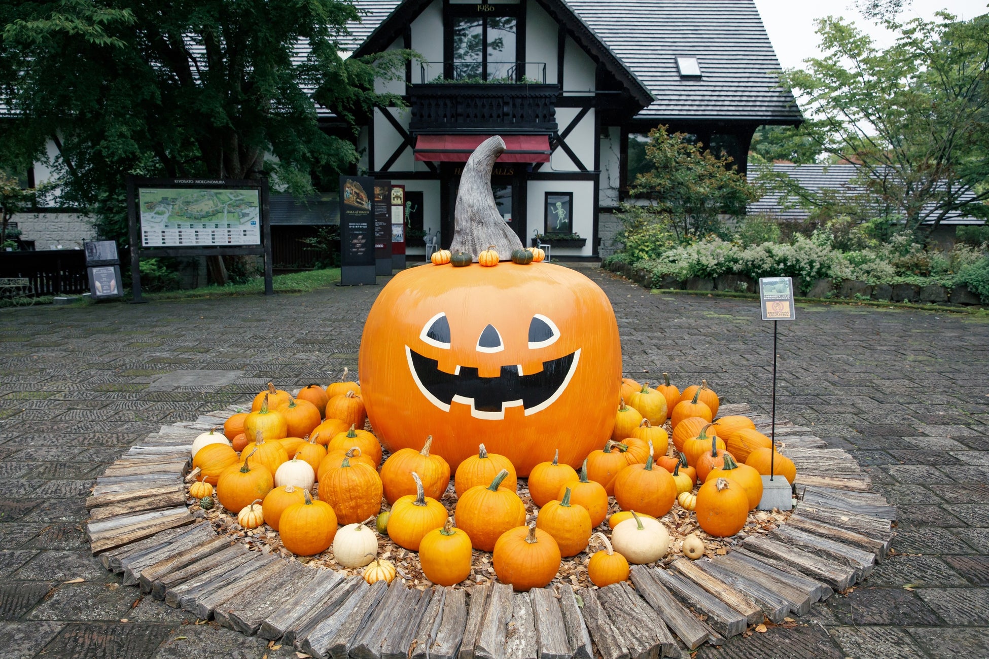山梨清里萌木之村萬聖節月至10月31日　1,000顆南瓜布置花園，24、25日鄉村雜貨祭