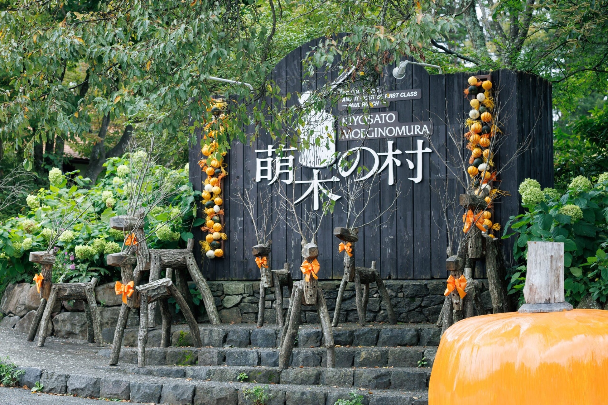 山梨清里萌木之村萬聖節月至10月31日　1,000顆南瓜布置花園，24、25日鄉村雜貨祭