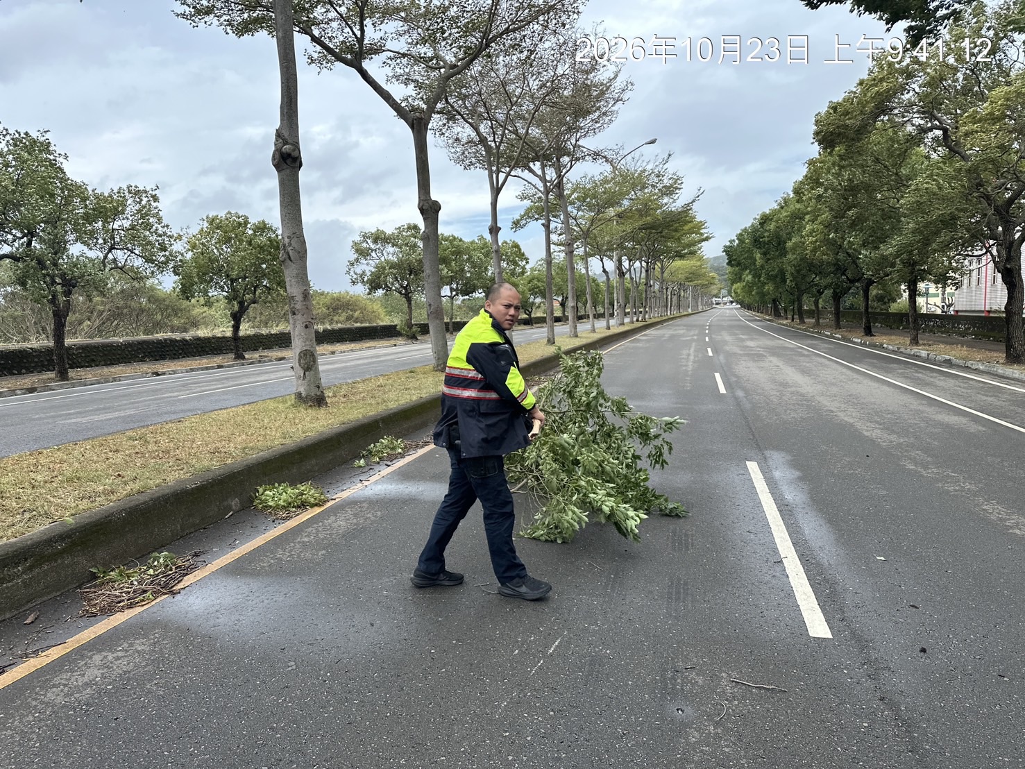 南苗派出所員警頂著強風徒手拖移倒塌路樹