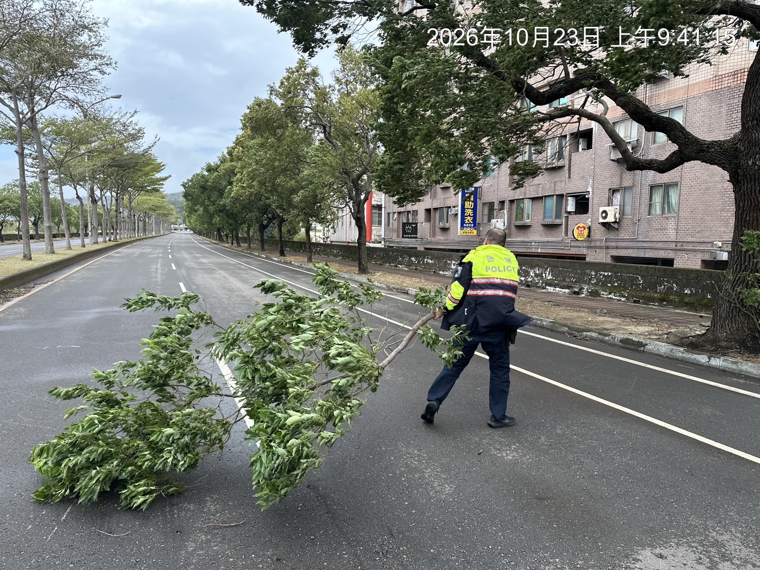 員警將橫越車道的樹枝移置路旁