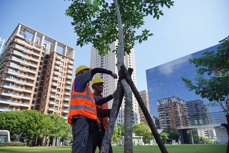 薔琵颱風逼近 台中建設局啟動三級應變強化防汛整備