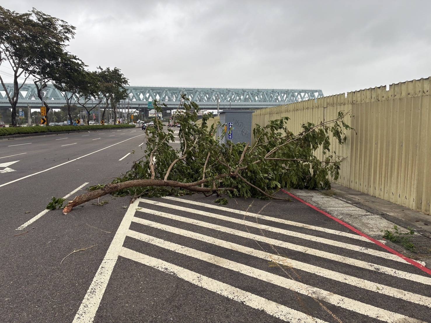 烏日區中山路三段機車道路樹倒塌
