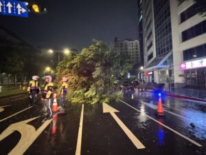 薔琵颱風肆虐樹倒壓車 警消搶救脫困幸無人傷 47 %E4%B8%80 100