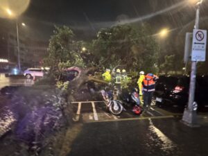 薔琵颱風肆虐樹倒壓車 警消搶救脫困幸無人傷 48 %E4%BA%8C 38