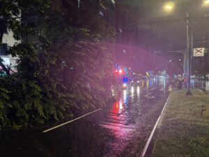 薔琵颱風肆虐樹倒壓車 警消搶救脫困幸無人傷 50 1792808423608