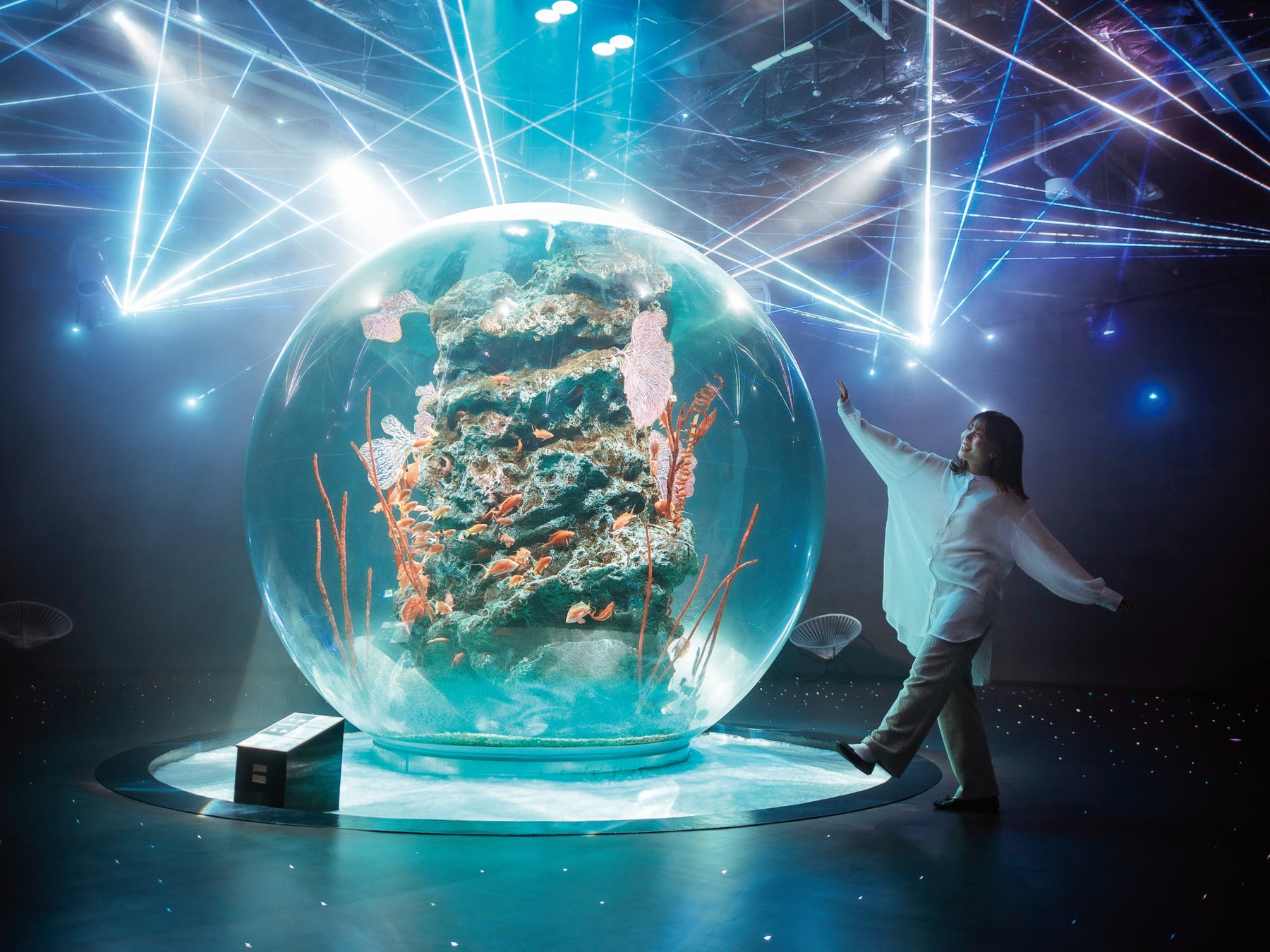 神戶水族館átoa 5週年紀念票第3彈11月1日開賣　美洲河狸書籤票限量500張