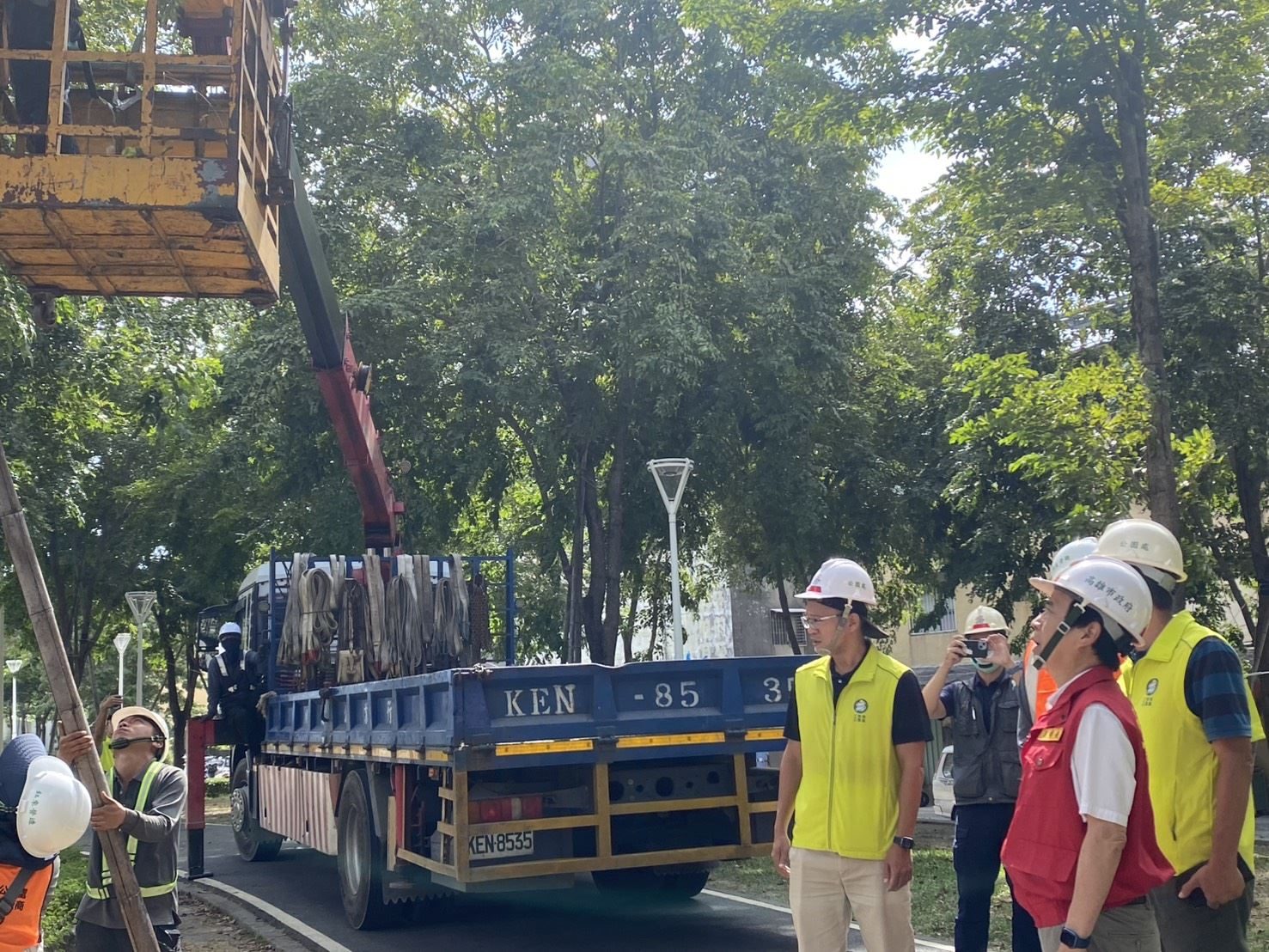 防颱超前部署!林欽榮副市長視察鳳山綠園道路樹加固作業 強化城市防颱韌性