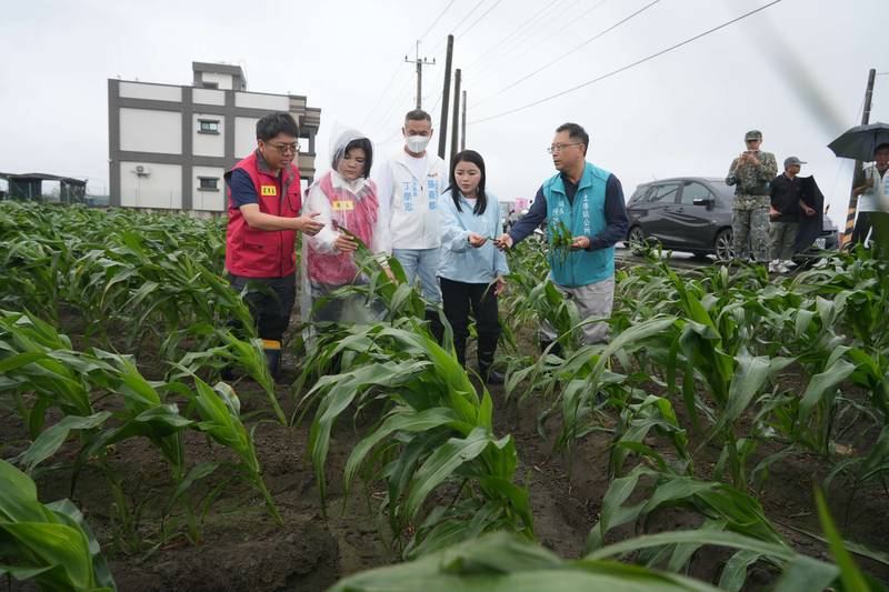 薔琵颱風強風重創雲林農作 張麗善縣長:爭取全品項現金救助