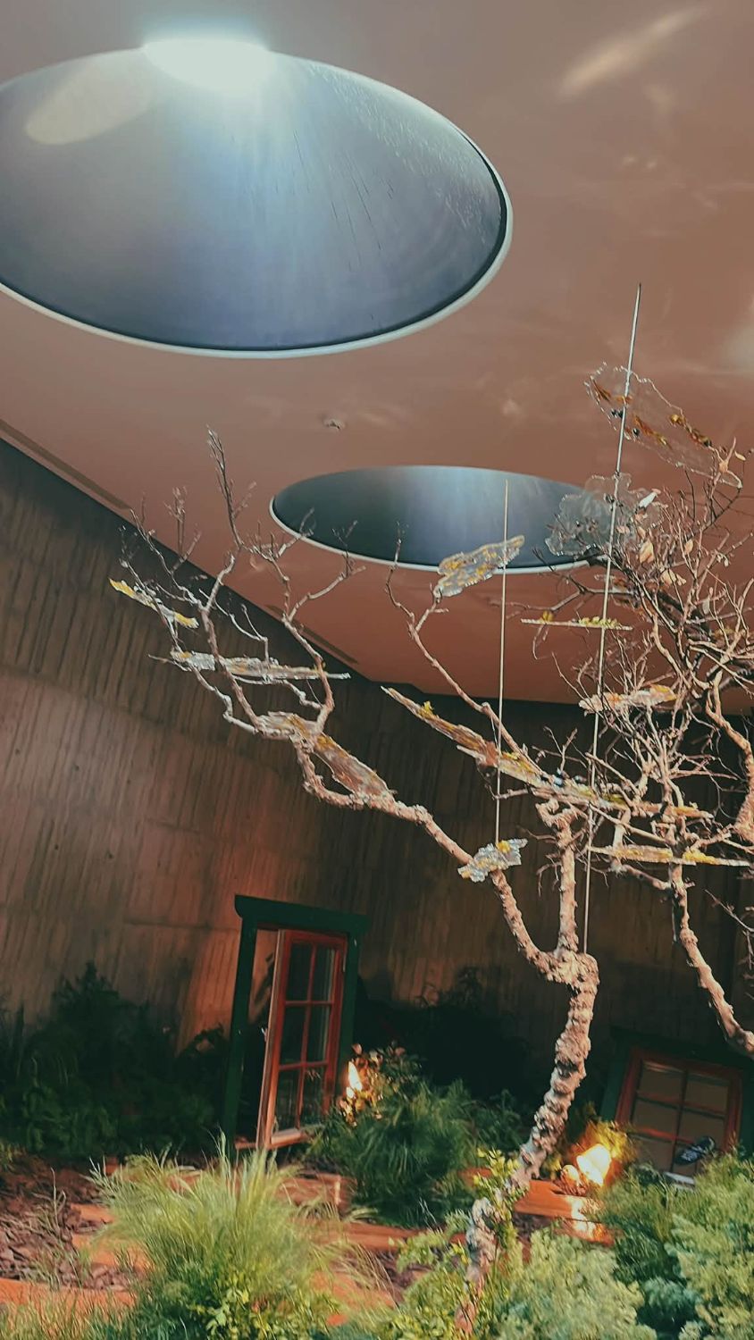 圓形天窗下的枯枝林與懸空壓克力雲