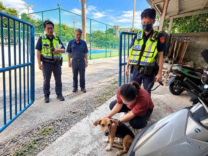 毛小孩自己找警察？成功警網路巡邏神助攻　走失愛犬平安返家