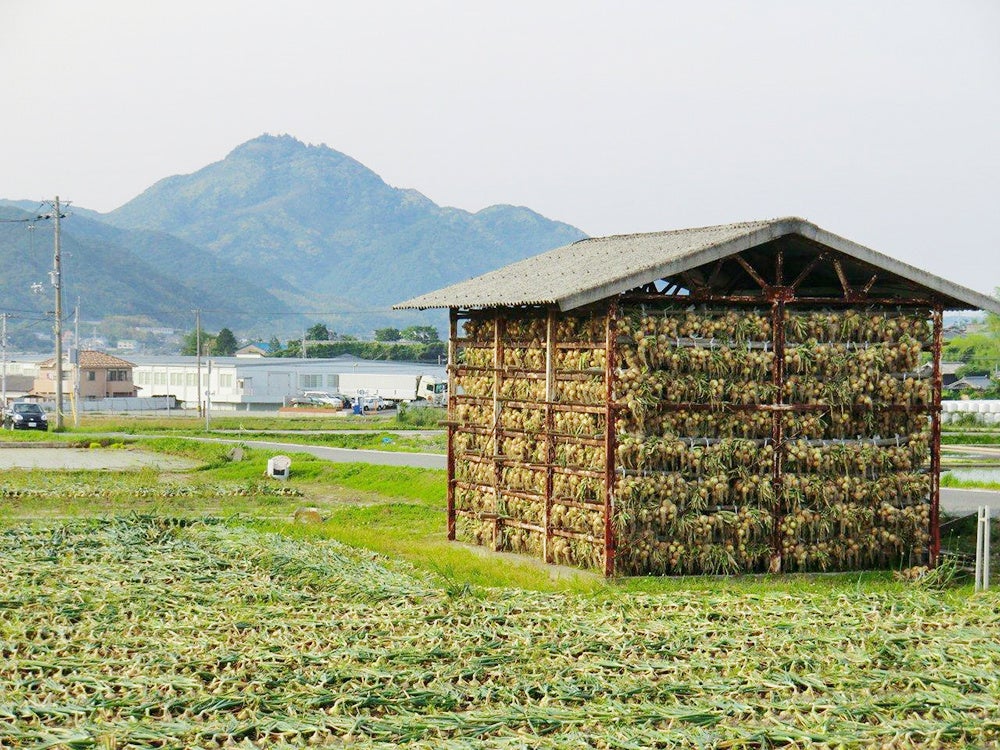 淡路島南休息區10月27日新菜單　淡路牛可樂餅蕎麥麵、竹輪烏龍麵，眺望大鳴門橋