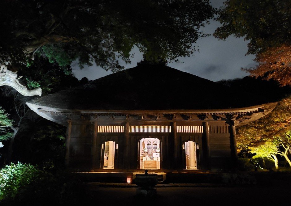比利時花藝大師Daniel Ost鎌倉首展 11月12至17日覺園寺,傍晚點燈