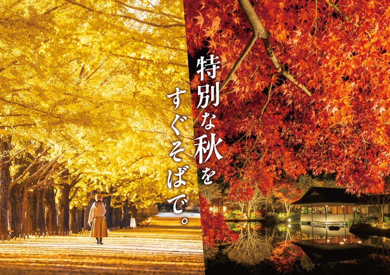 東京昭和記念公園黃葉紅葉祭10/29登場 銀杏並木夜間點燈獲選「日本夜景遺產」