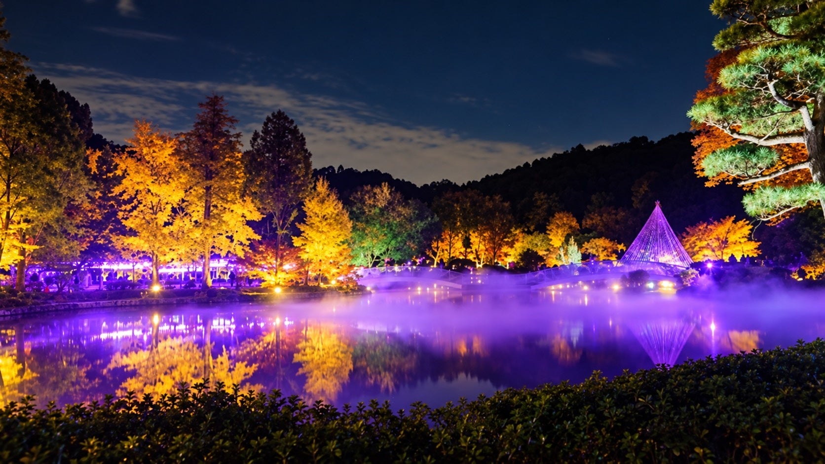 東京町田藥師池公園紅葉祭 11/14起夜間點燈加人工雲海,開園延長到晚上8點