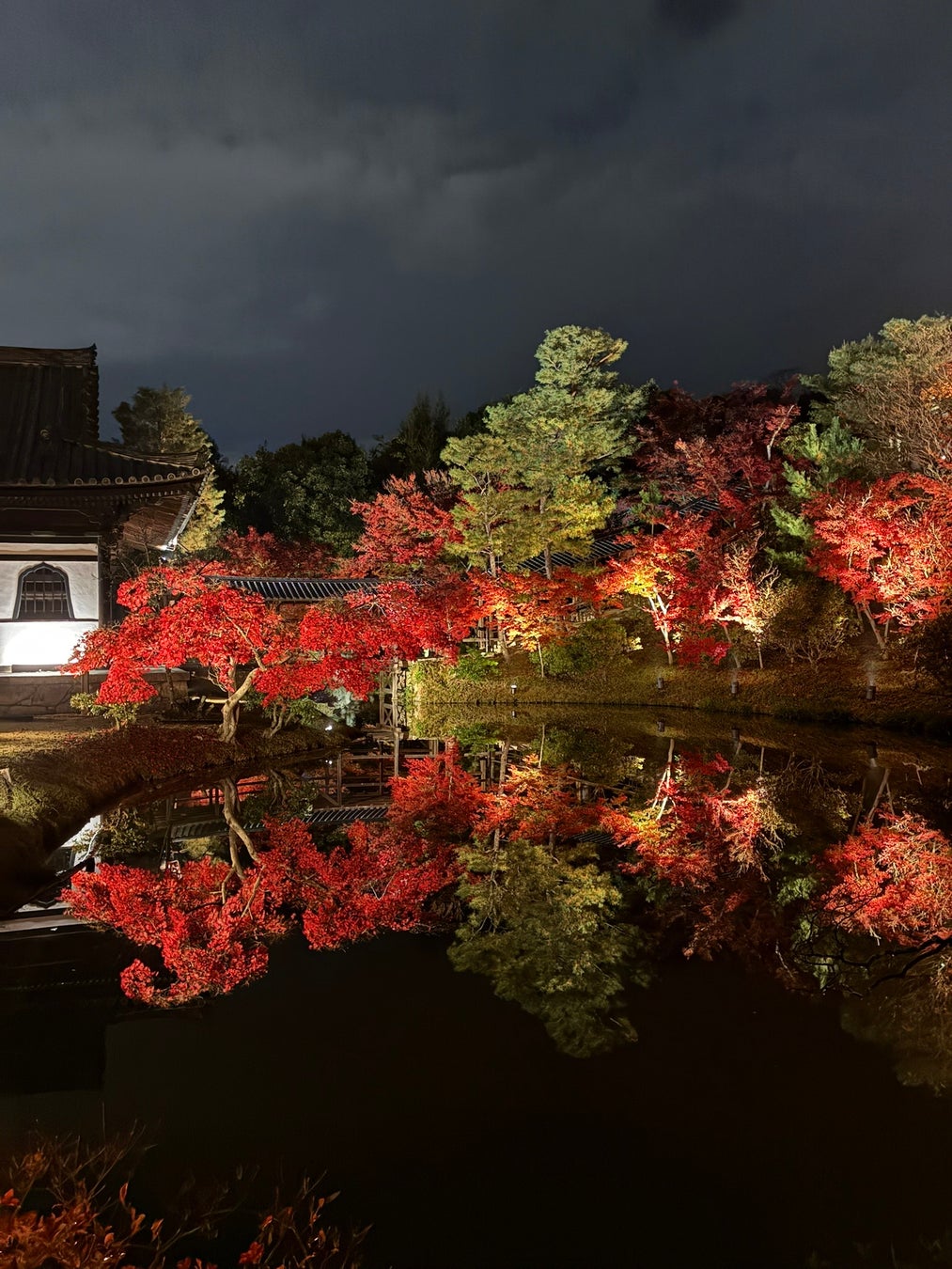 京都高台寺秋季夜間特別參拜10/23起 新作光雕「桃山繚亂」點亮波心庭