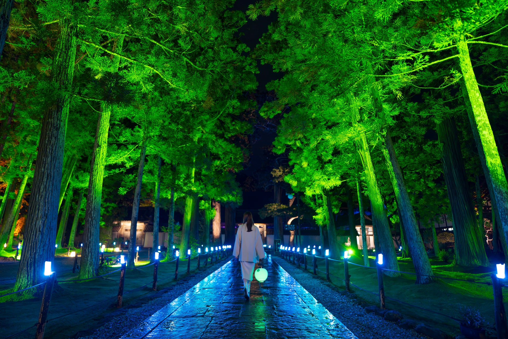 宮城松島國寶瑞巖寺秋季夜間參拜10/30起　以伊達政宗鍾愛的「月」為主題點燈