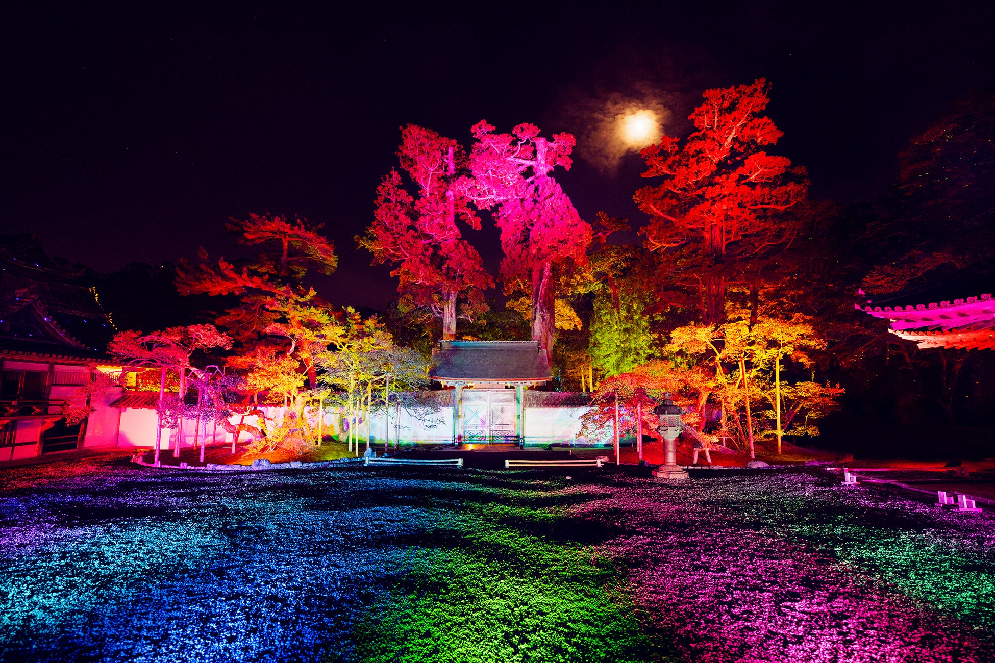宮城松島國寶瑞巖寺秋季夜間參拜10/30起　以伊達政宗鍾愛的「月」為主題點燈