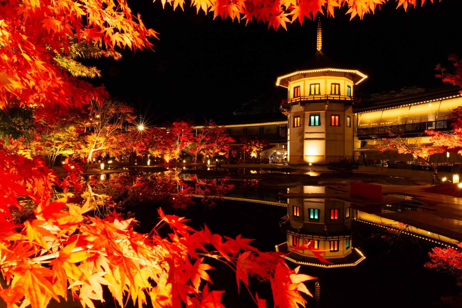 宮城松島離宮紅葉點燈10/24登場　日本唯一十角三重塔光雕、和傘光屏風新版