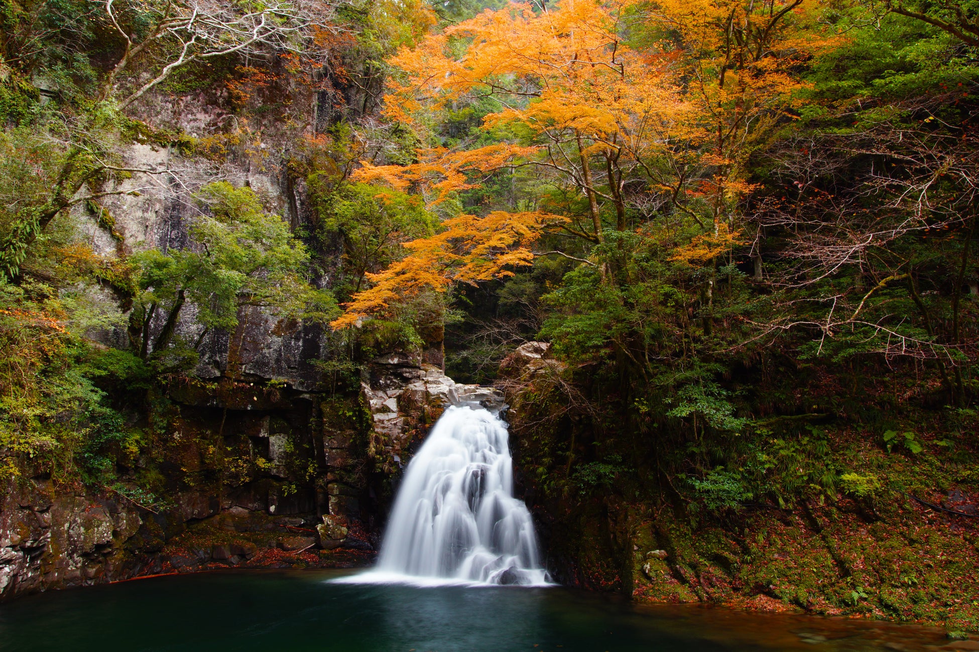 三重赤目四十八瀑布紅葉季 竹燈點亮溪谷「三重赤目瀑布燈」10/31起