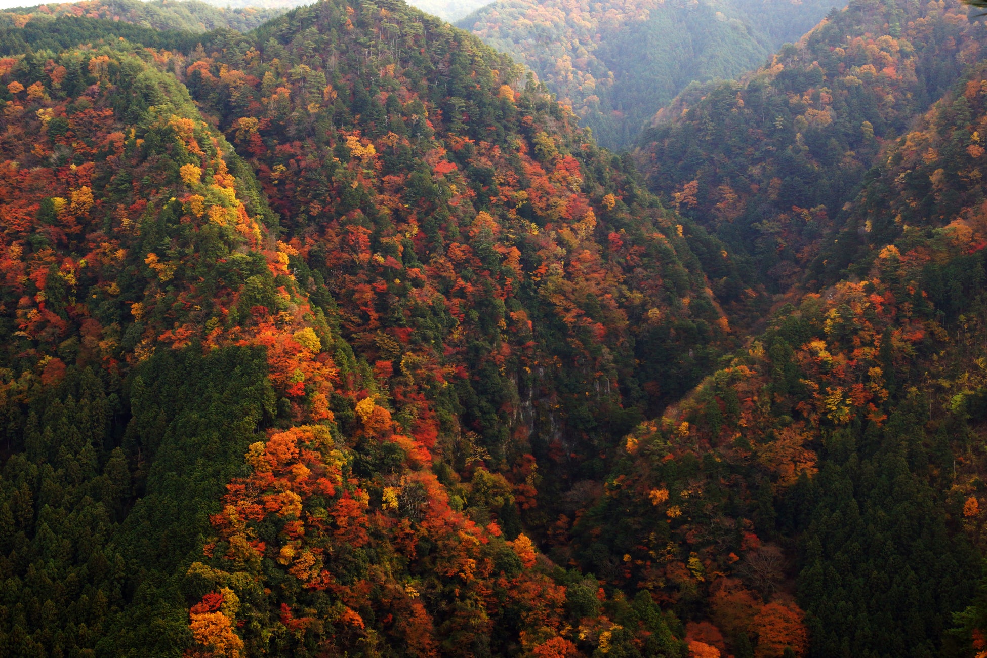 三重赤目四十八瀑布紅葉季 竹燈點亮溪谷「三重赤目瀑布燈」10/31起