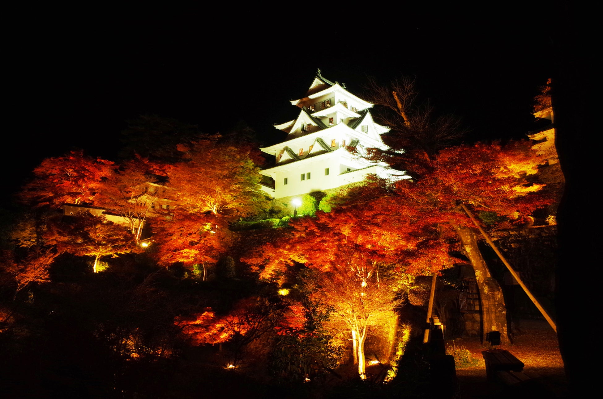 岐阜郡上八幡城紅葉祭10/31開幕 天守被紅葉包圍的「天守炎上」夜間點燈