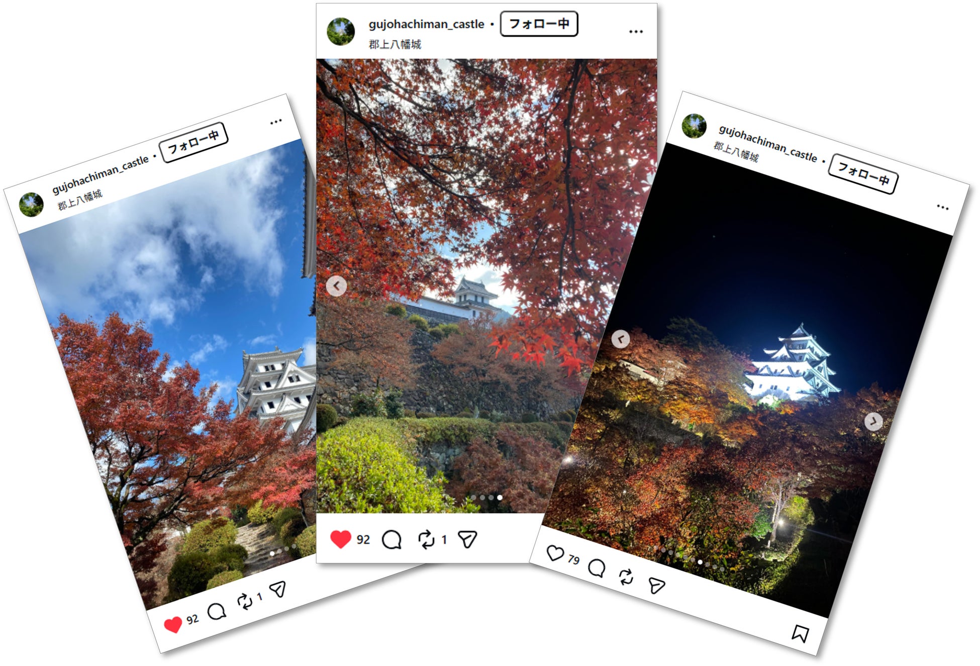 岐阜郡上八幡城紅葉祭10/31開幕 天守被紅葉包圍的「天守炎上」夜間點燈