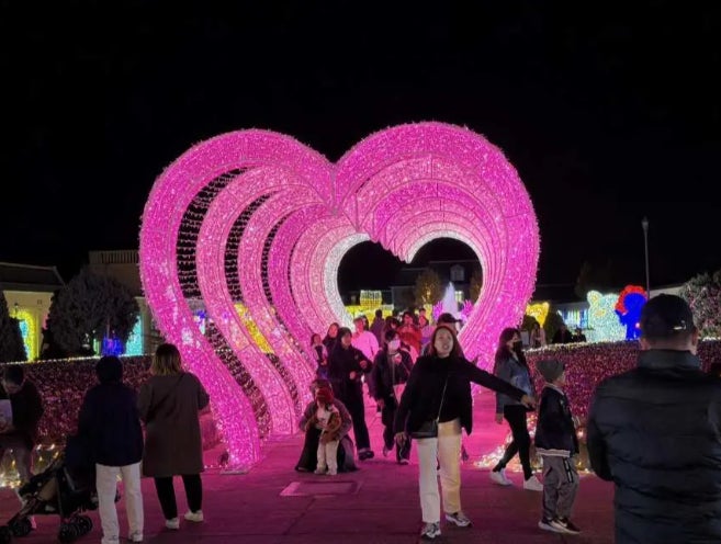 神戶Illuminage第17屆開跑 4公尺蝴蝶鞦韆、30公尺愛心隧道到明年2月
