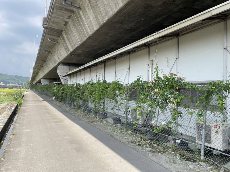廢棄物變身綠意風景 台中霧峰清潔隊打造橋下永續綠化空間
