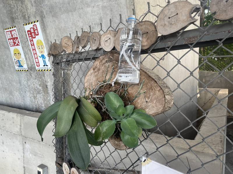 廢棄物變身綠意風景 台中霧峰清潔隊打造橋下永續綠化空間