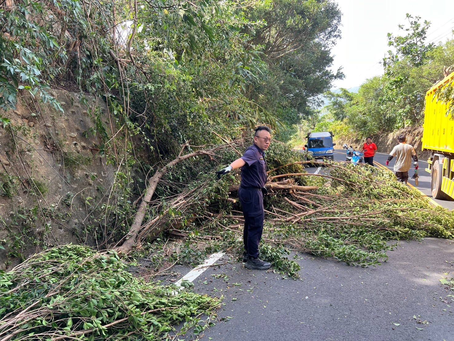 員警於東37-1線倒樹現場指揮清障