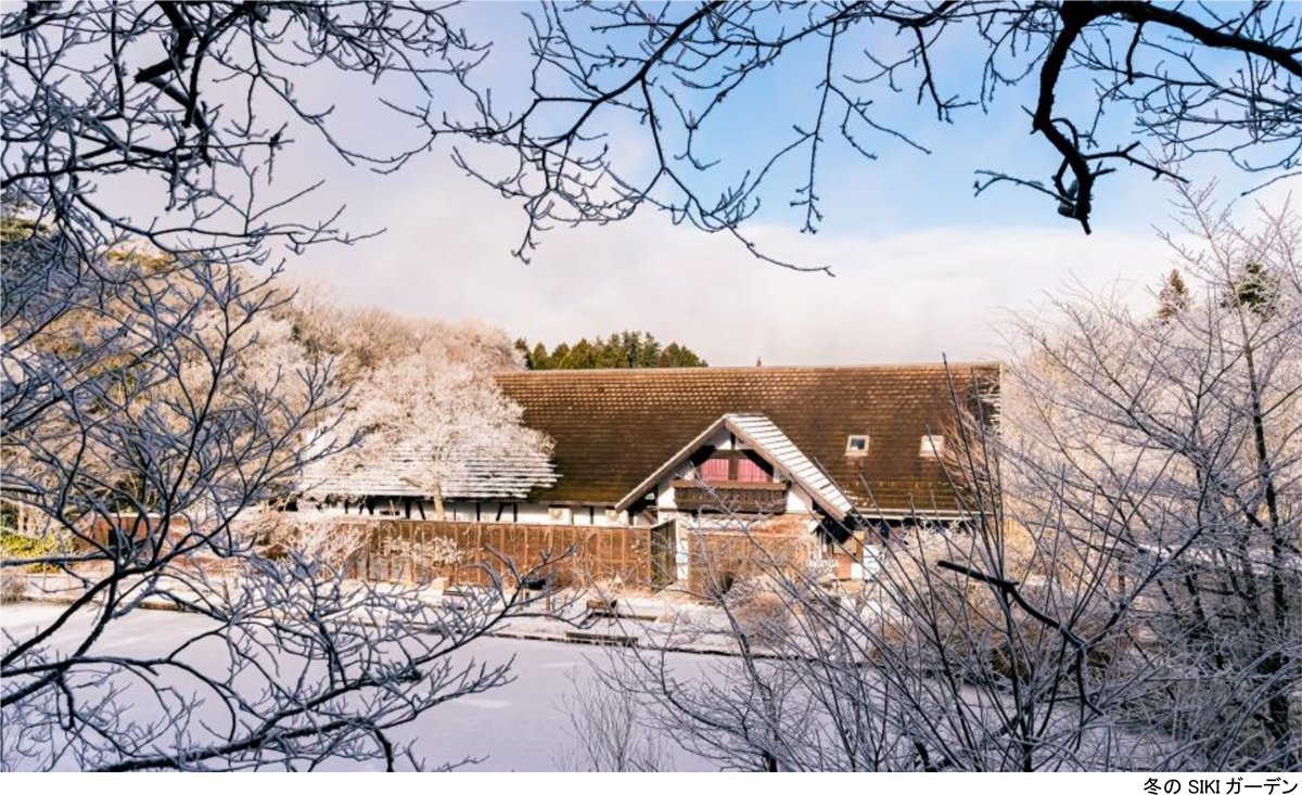 神戶六甲山「SIKI花園冬季」12月1日起　比市區低約5度的雪景、樹屋暖桌