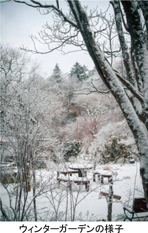 神戶六甲山「SIKI花園冬季」12月1日起　比市區低約5度的雪景、樹屋暖桌