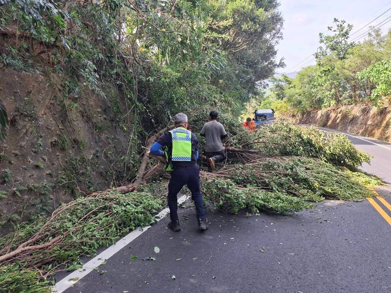 颱風吹倒樹木擋山路 初鹿警攜手地方齊心清障