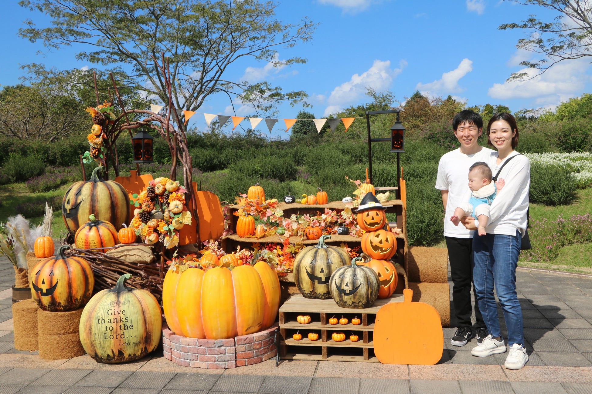 福岡海之中道海濱公園波斯菊花海萬聖節拍照點　到11月15日，免費數位集章