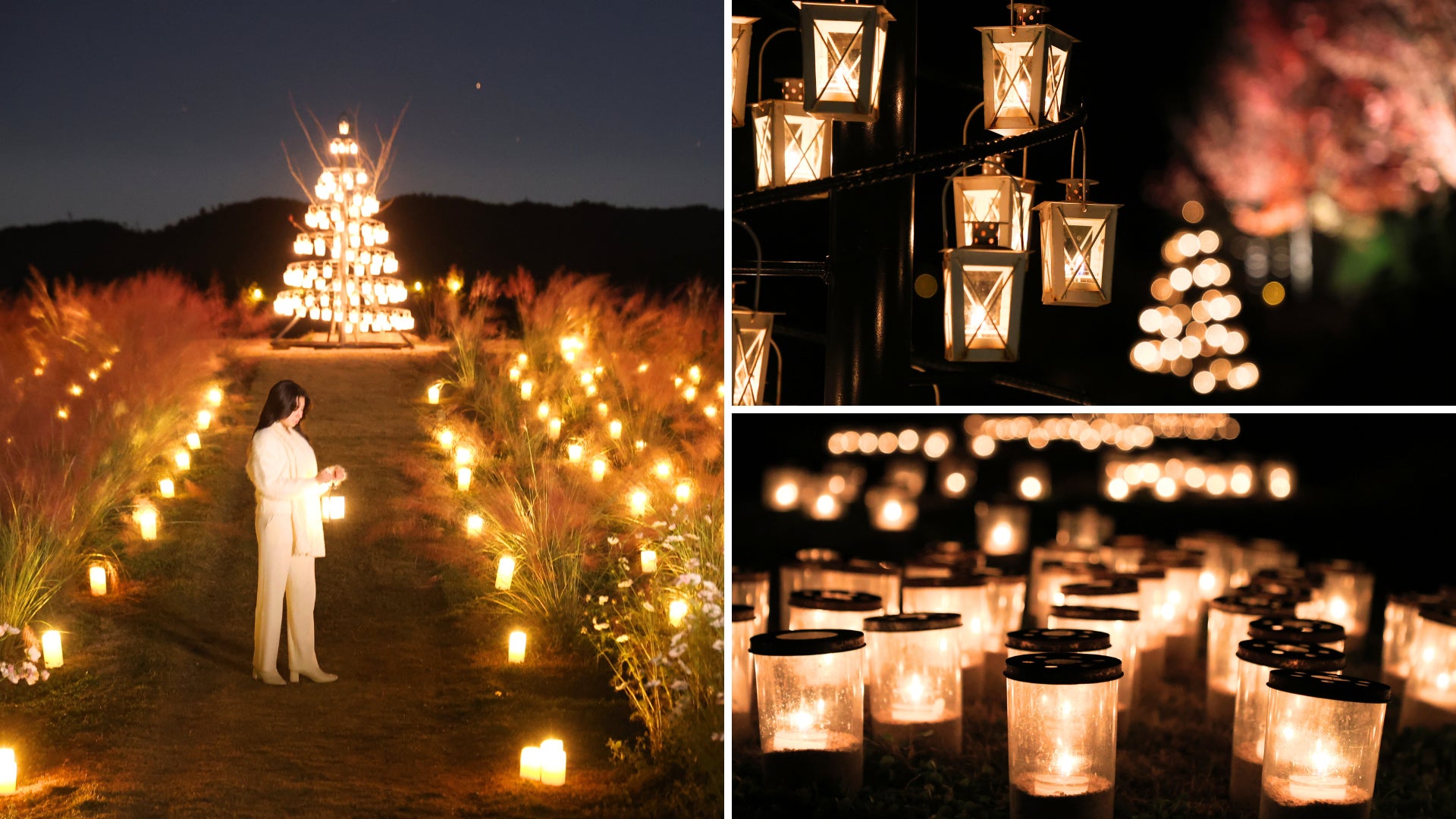 廣島「世羅高原燭光夜」10月31日開園　週末假日限定燭光花園到12月20日