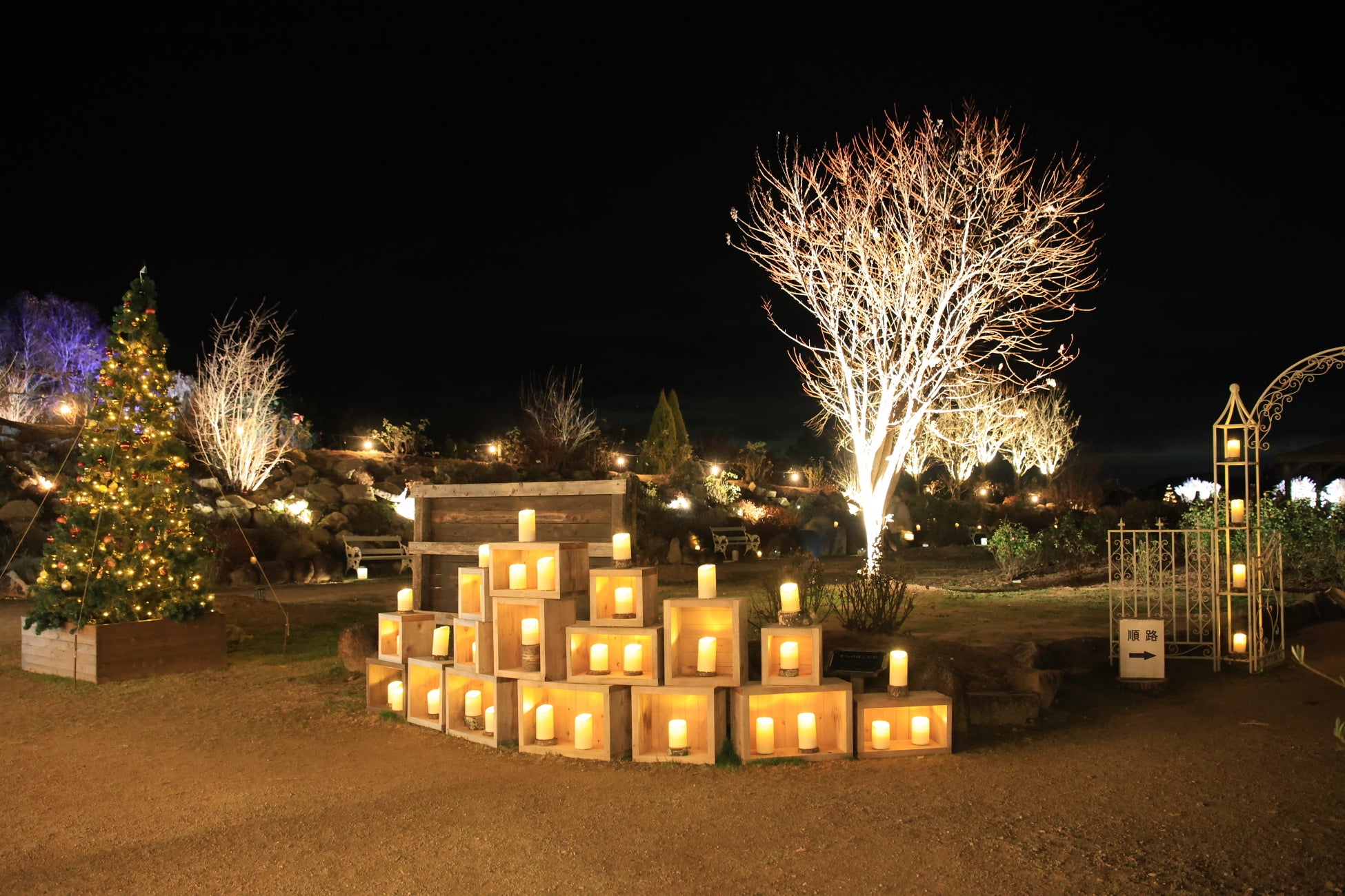 廣島「世羅高原燭光夜」10月31日開園　週末假日限定燭光花園到12月20日