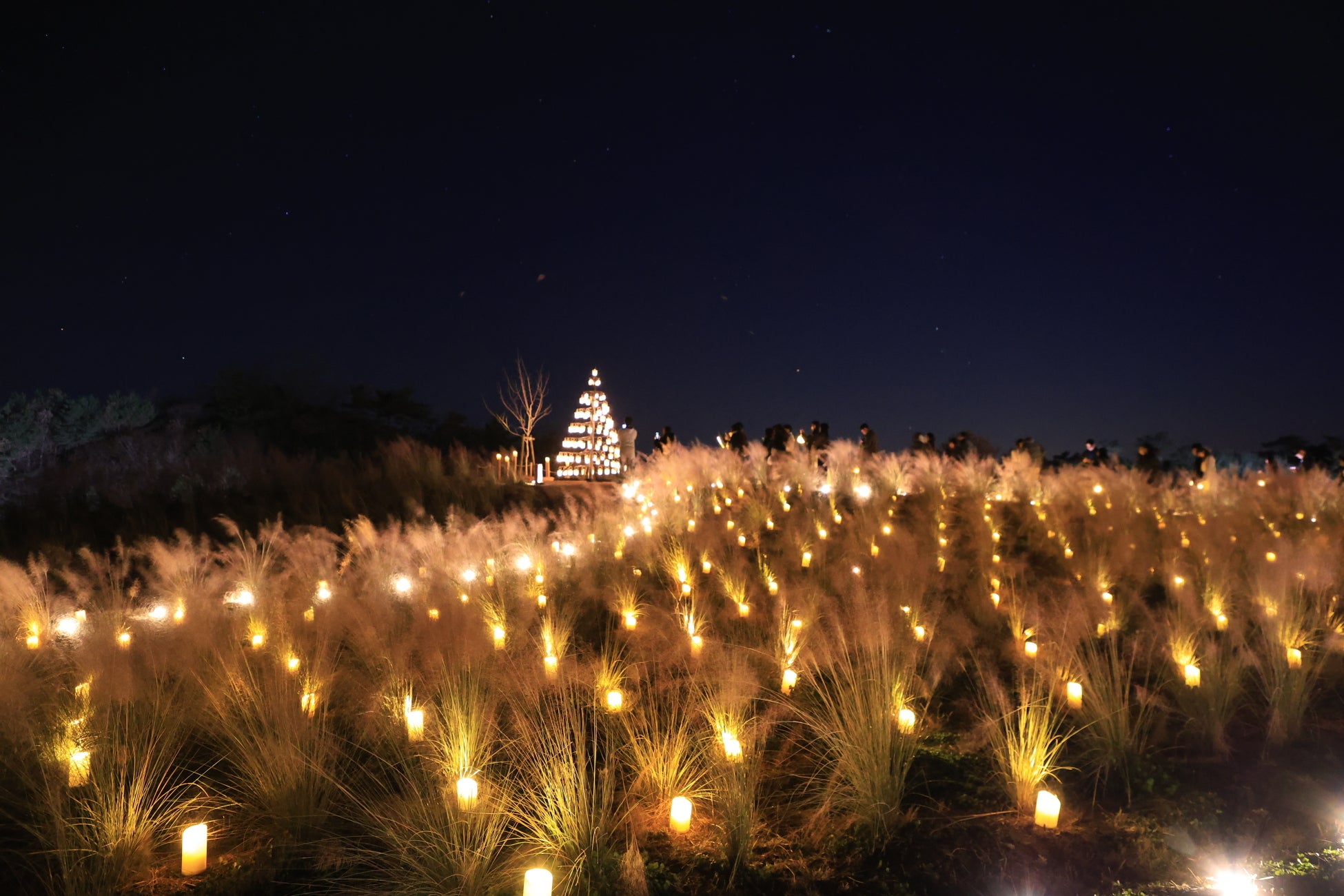 廣島「世羅高原燭光夜」10月31日開園　週末假日限定燭光花園到12月20日