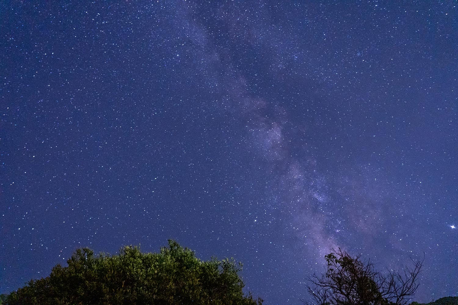 三重尾鷲星空露營「OFFLEEK」星空扭蛋必中3,000日圓以上折價券 11月到2月是觀星旺季