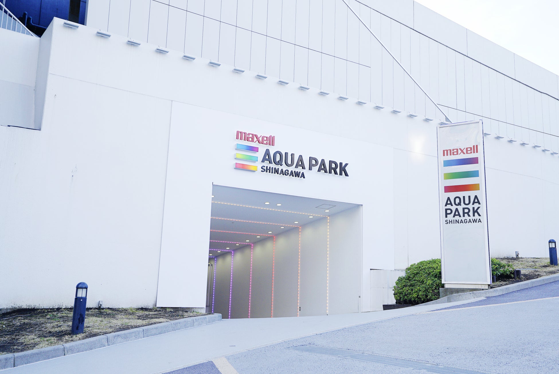Maxell Aqua Park品川×雙子星耶誕水族館11月13日起 粉藍夢幻水槽、海豚表演