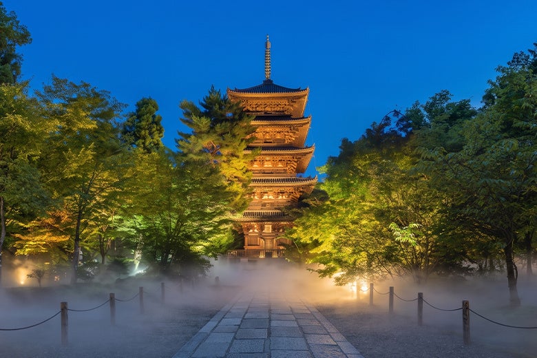 京都世界遺產仁和寺×立命館大學「Otonami」限定體驗12月23日起 教授講課、黃昏參拜、非公開食堂晚餐