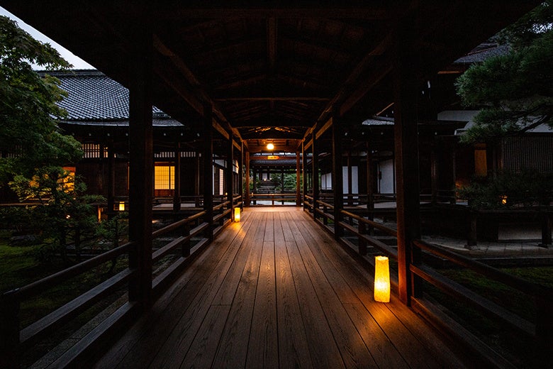京都世界遺產仁和寺×立命館大學「Otonami」限定體驗12月23日起 教授講課、黃昏參拜、非公開食堂晚餐