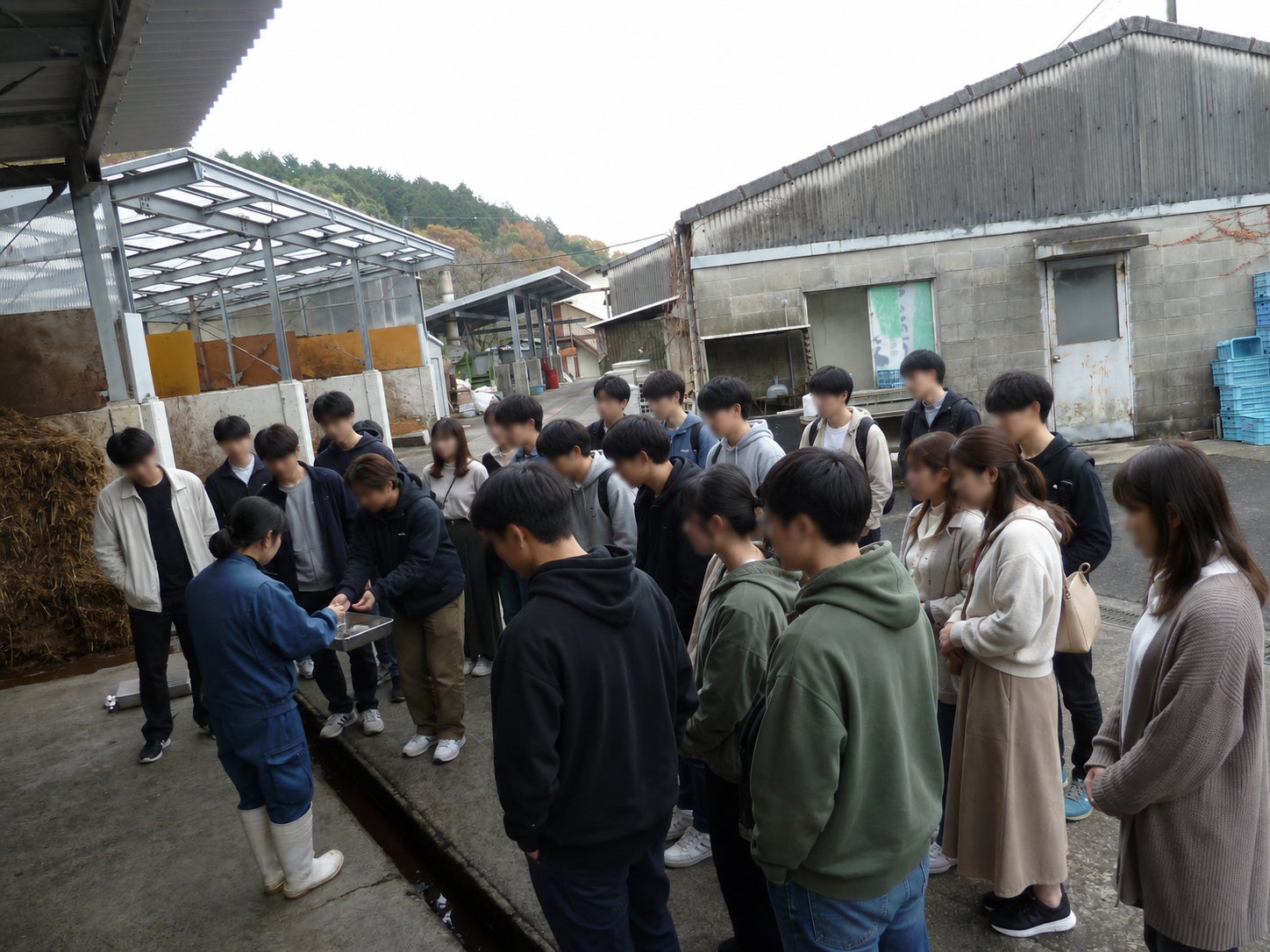 山口秋吉台Safari Land「秘密野生動物之旅」11月14日 JAF會員限定餵長頸鹿、參觀後台