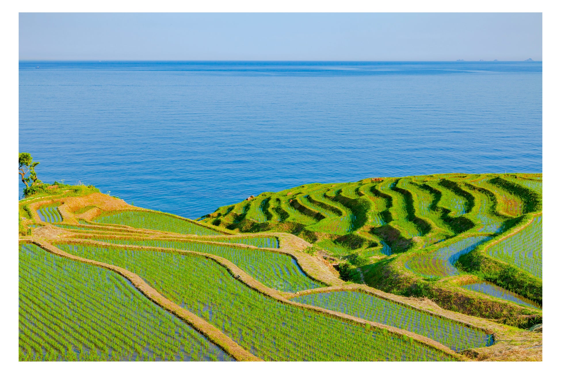 Skyscanner公布2027日本國內旅遊趨勢 對馬第1、輪島第2,離島與秘境受關注