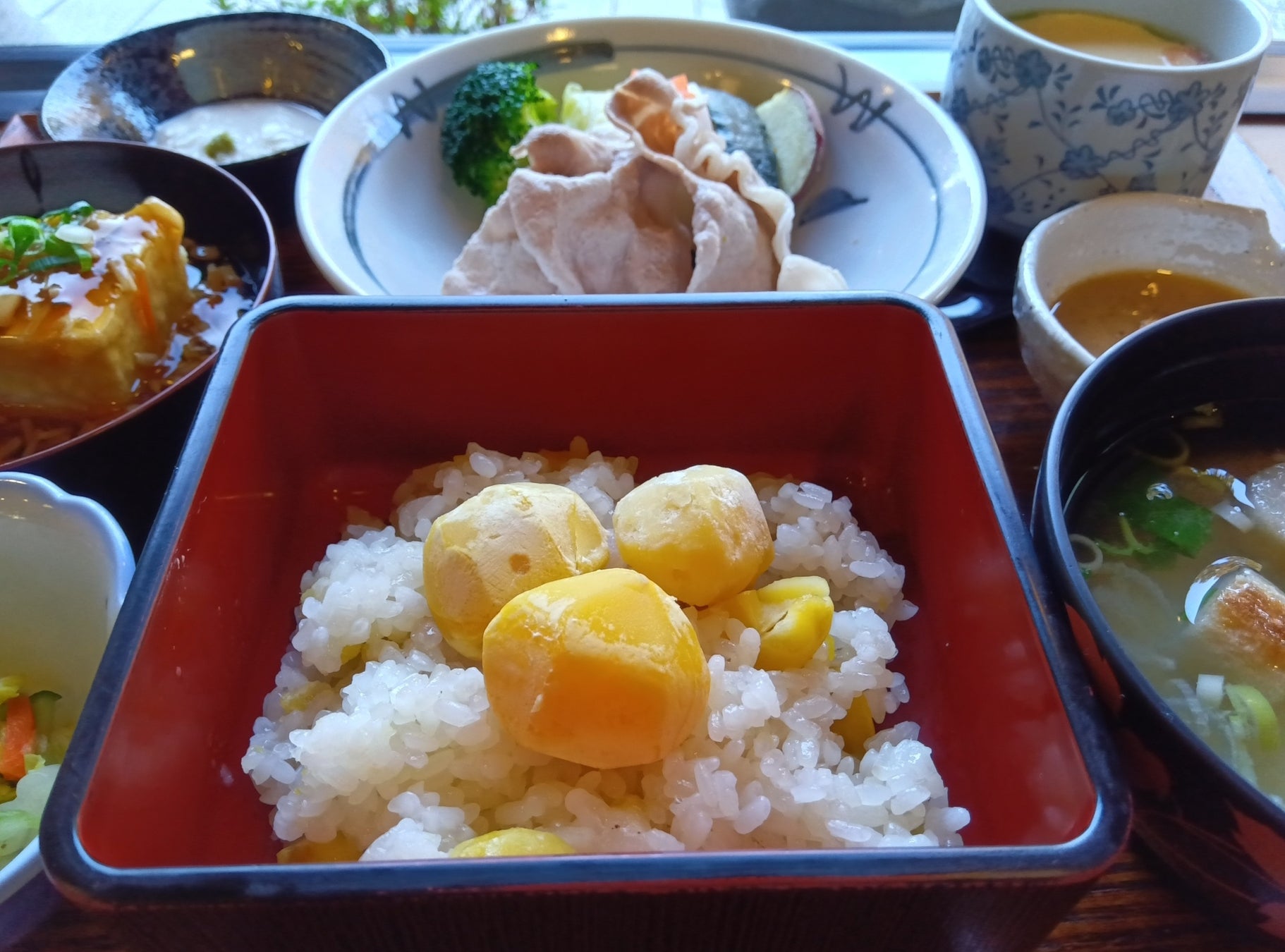 JAF神奈川公開足柄秋季兜風路線 可帶寵物,從天狗傳說大雄山最乘寺到寄地區