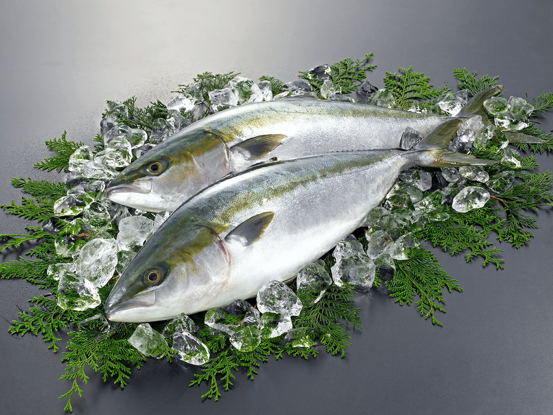 淡路Highway Oasis壽司店「Sushi富」11月限定「霜月」套餐　鰤魚、梭子魚、鯖魚4,800日圓