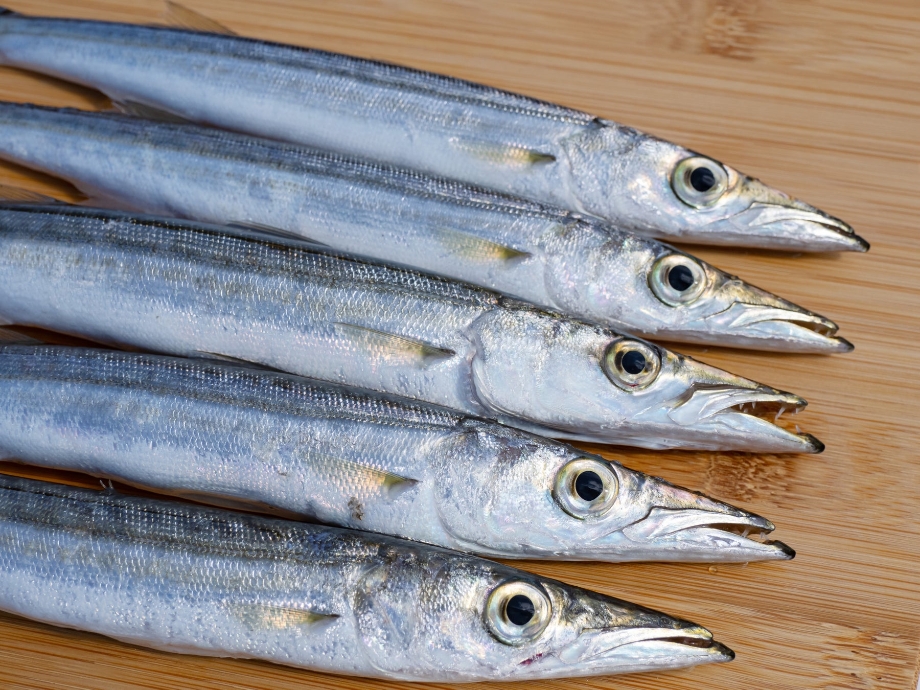 淡路Highway Oasis壽司店「Sushi富」11月限定「霜月」套餐　鰤魚、梭子魚、鯖魚4,800日圓