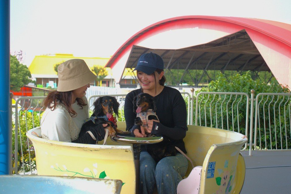 熊本Greenland遊樂園「Wonder Ride DAY」11月14、15日　狗狗可同搭遊樂設施