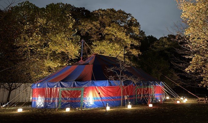 東京狹山公園「花與光的運動」11月14日起　芒草原夜間點燈免費入場