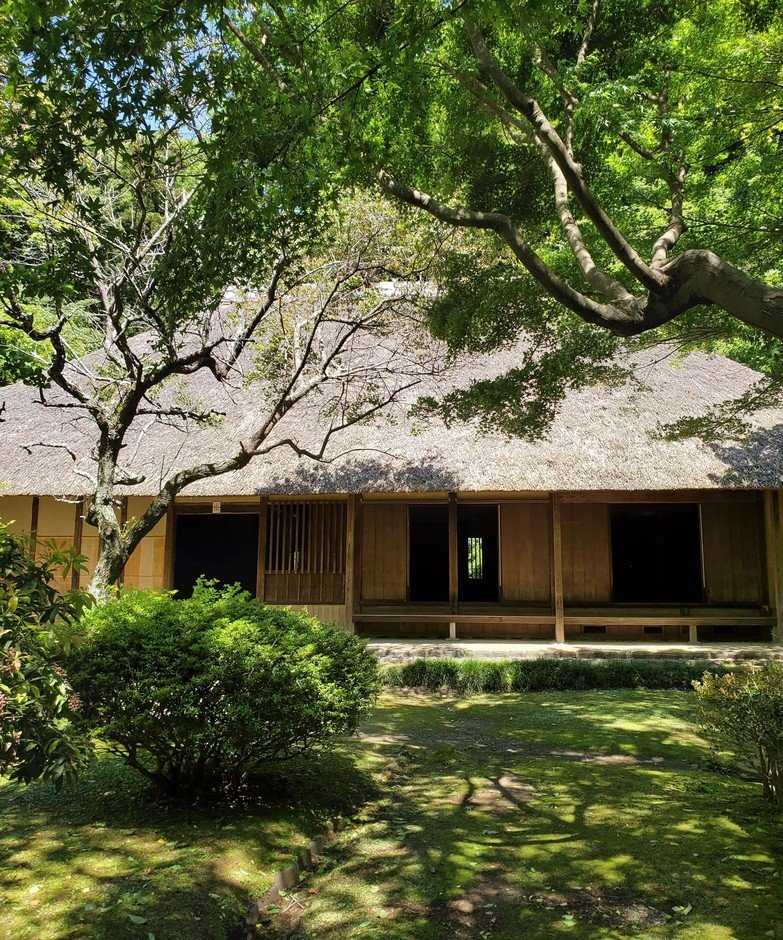 比利時花藝家Daniel Ost鎌倉覺園寺展 11月12日起後山竹化身2米花雕、傍晚點燈