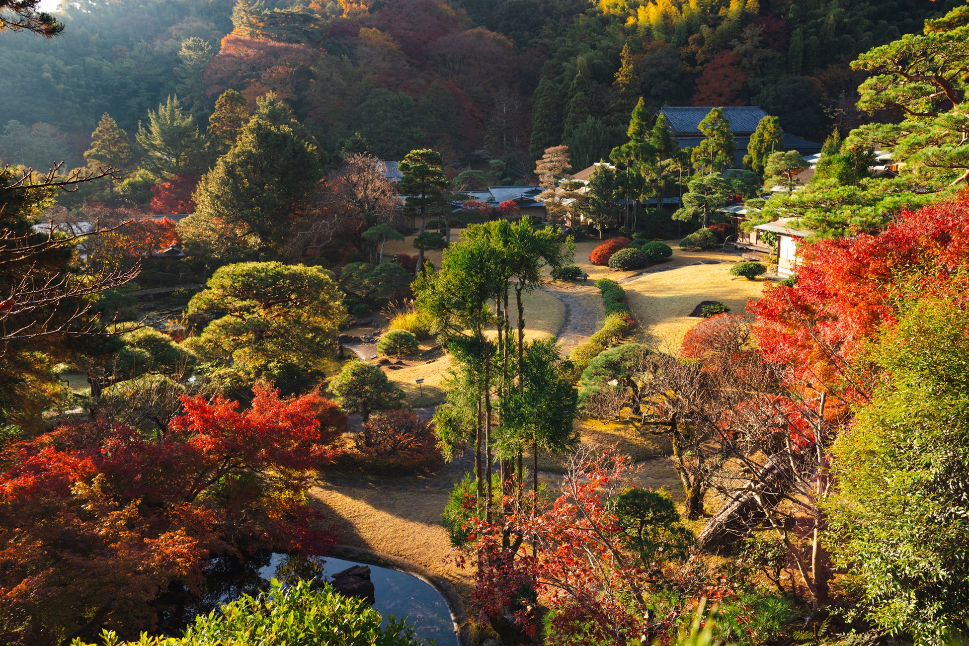 伊豆長岡溫泉三養莊「日本庭園咖啡」延長至12月20日　有形文化財裡賞紅葉